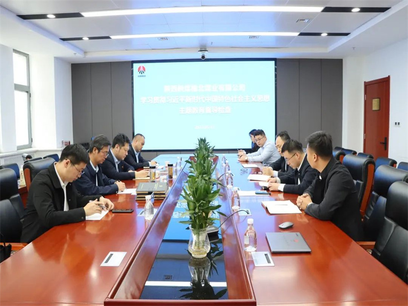 公司開展學(xué)習(xí)貫徹習(xí)近平新時代中國特色社會主義思想主題教育督導(dǎo)檢查.jpg