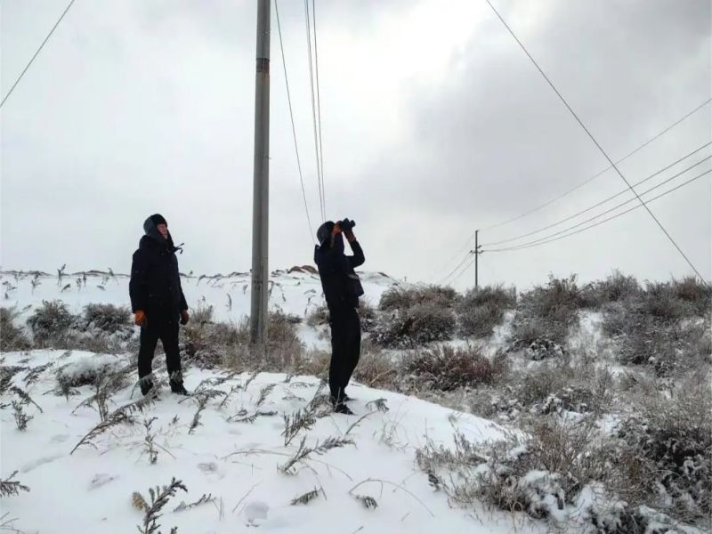 221708560671295752.jpg 640 (5).jpg